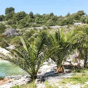 https://vila-tatinja.hotels-in-trogir.com